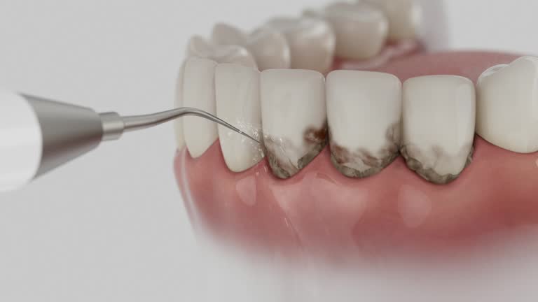 Reliable Dental contractor in Belle Plaine, KS by Dentist Open Now